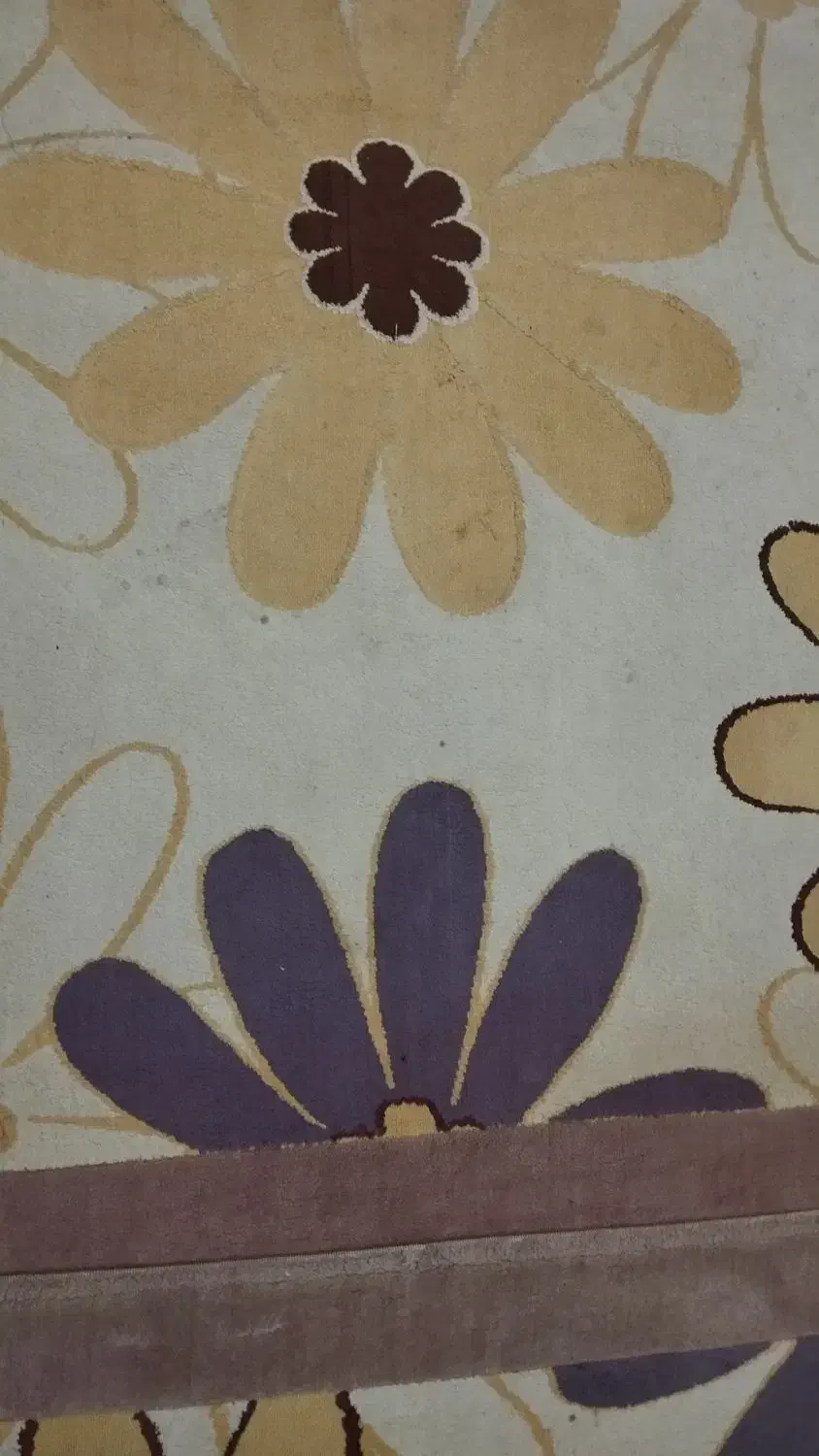 گلیم فرش|گلیم، جاجیم، گبه|املش, |دیوار