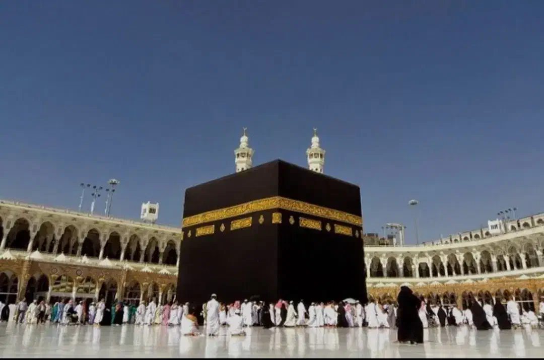 فروش سه عدد فیش حج تمتع|تور و چارتر|نجف‌آباد, امام خمینی|دیوار