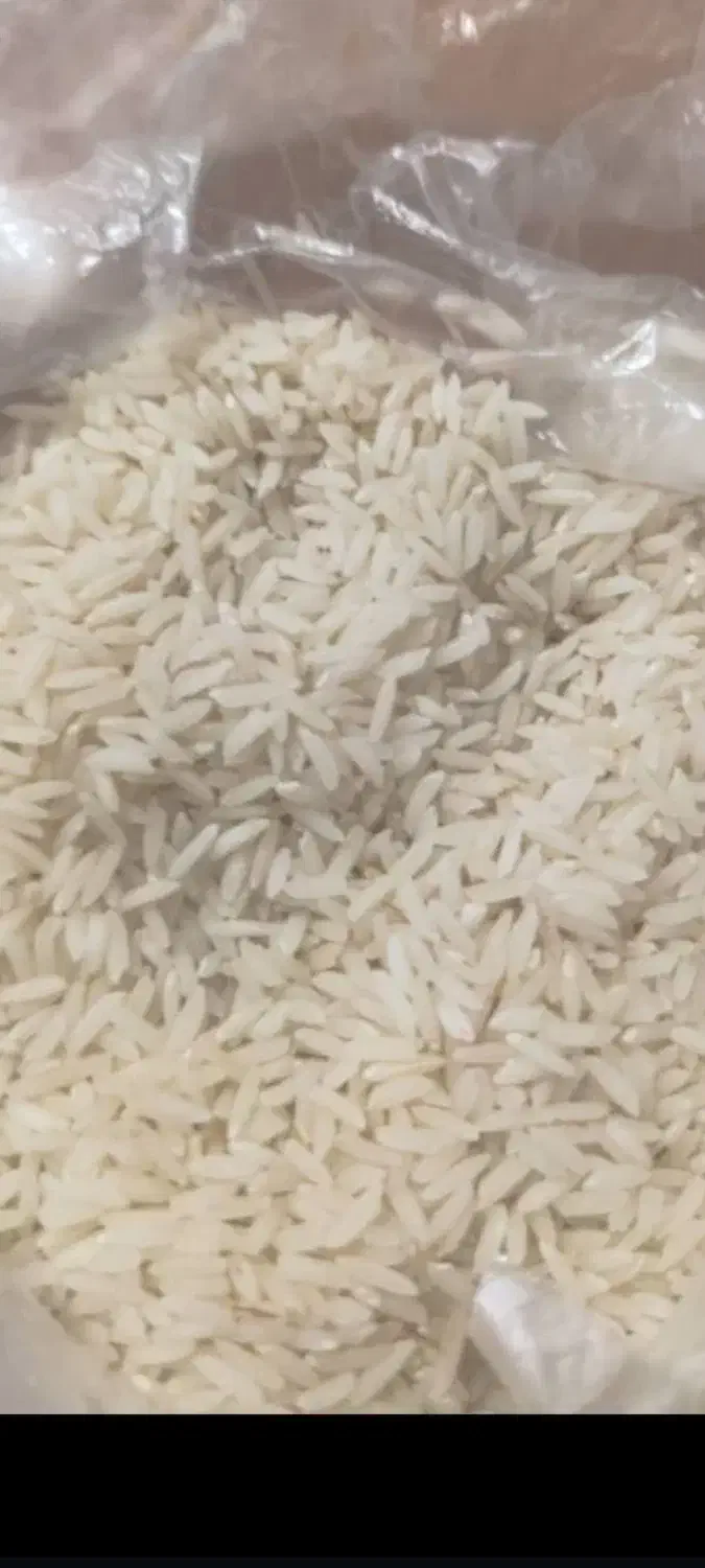 برنج طارم محلی(سنگی)|خوردنی و آشامیدنی|قائمشهر, |دیوار