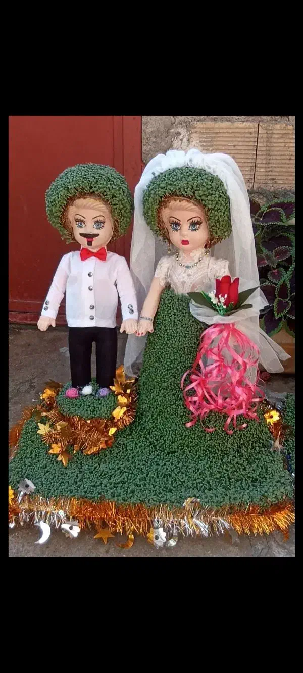 سوزیی|گل و گیاه طبیعی|کوهدشت, |دیوار