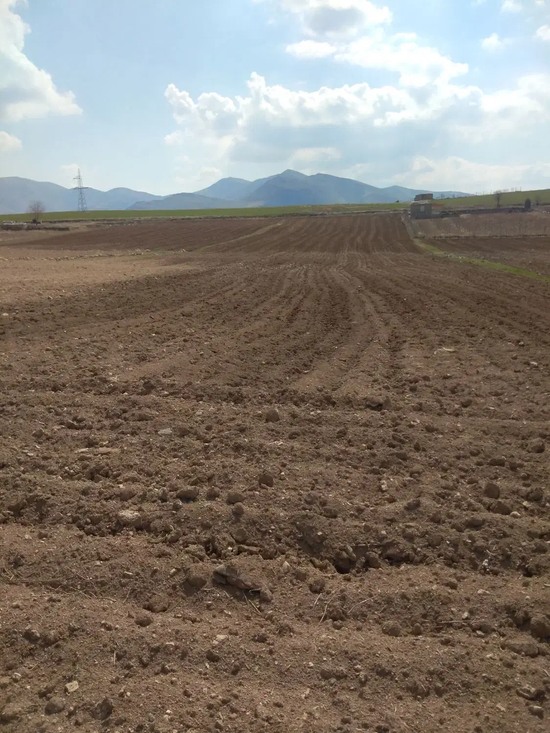 فروش 1000 متر زمین کشاورزی سنددار جهت خانه باغ|فروش زمین و ملک کلنگی|سقز, |دیوار