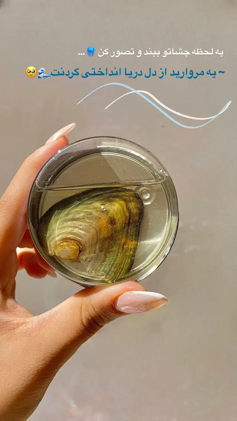 تخفیف ویژه پک مروارید عشق|بدلیجات|بروجرد, |دیوار