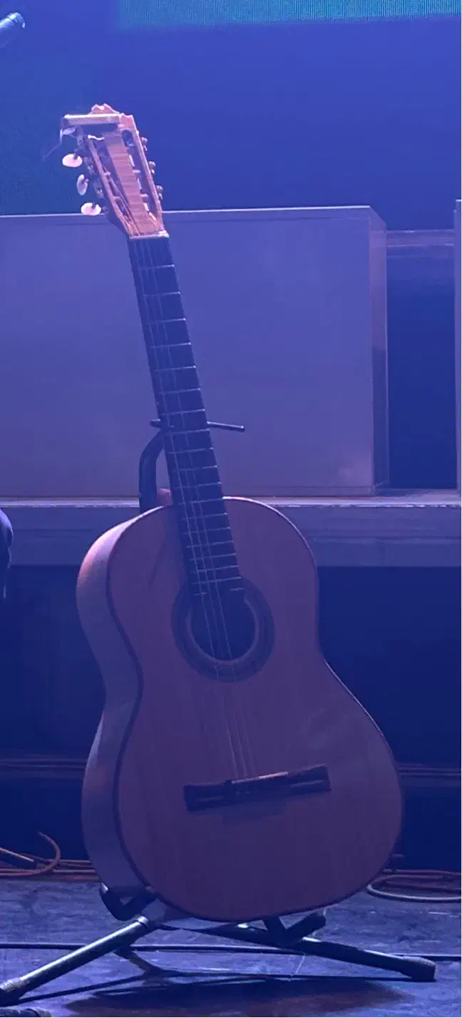 گیتار|خدمات آموزشی|بوشهر, |دیوار