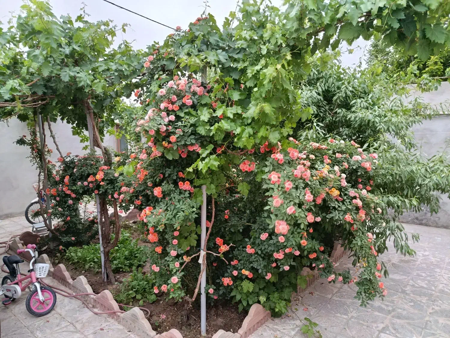 منزل ویلایی فروشی|فروش خانه و ویلا|اسلامیه, |دیوار