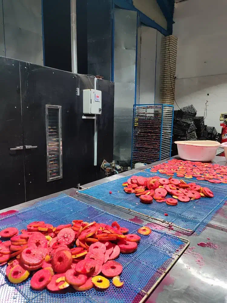 جذب نیرو خانم جهت کارگاه خشک کن|استخدام خدمات فروشگاه و رستوران|قم, خداکرم|دیوار