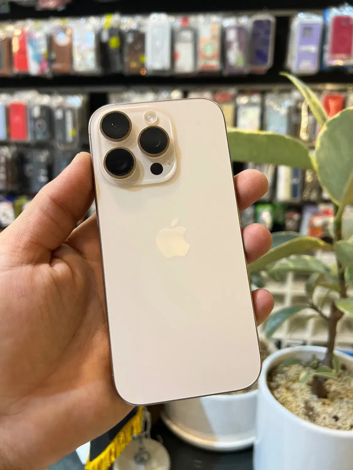 iphoen 16pro حافظه 512 باتری 100|موبایل|نیشابور, هفده شهریور|دیوار