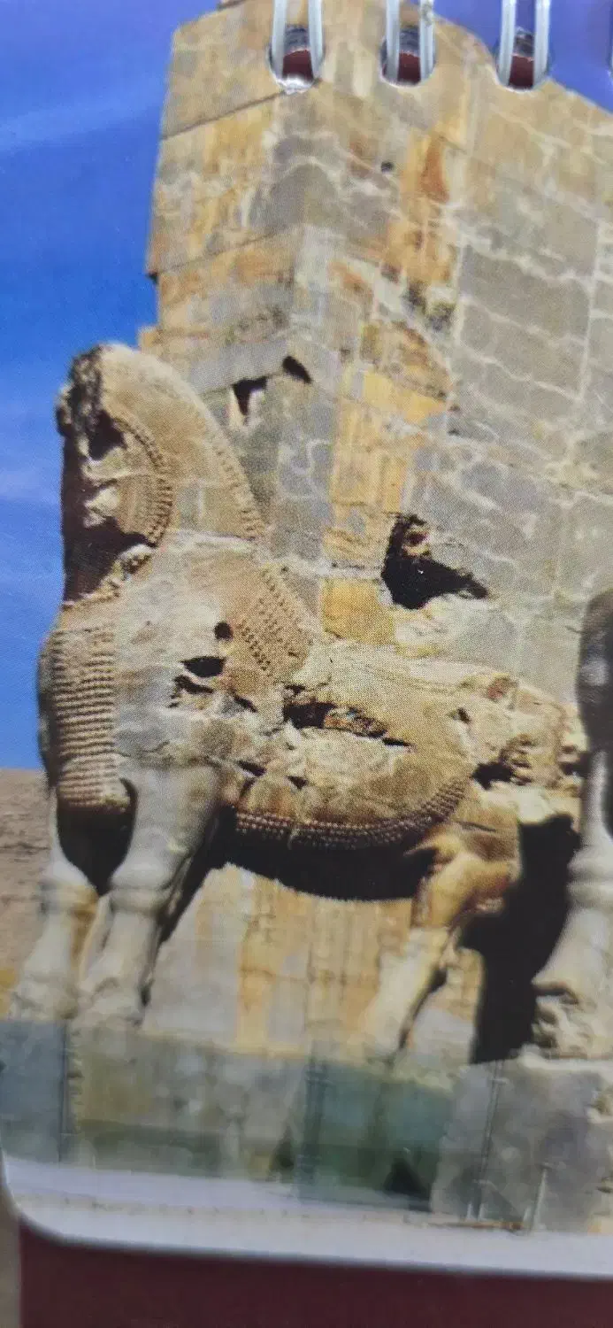 126 متر تک واحدی خیابان امیر کبیر|فروش آپارتمان|مشهد, کوه سنگی|دیوار