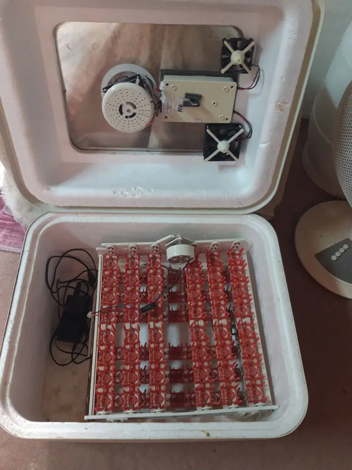 دستگاه جوجه کشی 96 اسکندری|لوازم جانبی حیوانات|بوشهر, |دیوار