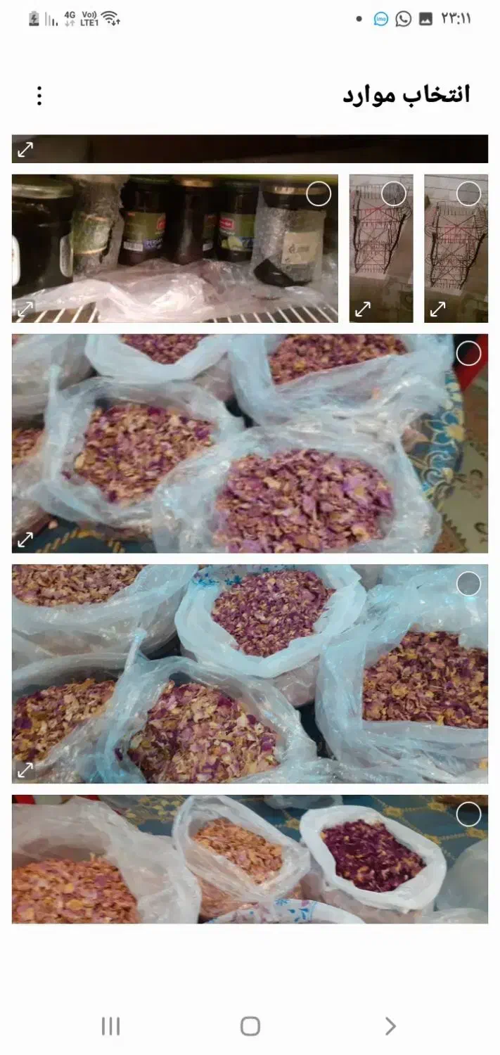 اشامیدن سه شیره  و الوچه خشکه گل محمدی|خوردنی و آشامیدنی|اصفهان, جلفا|دیوار