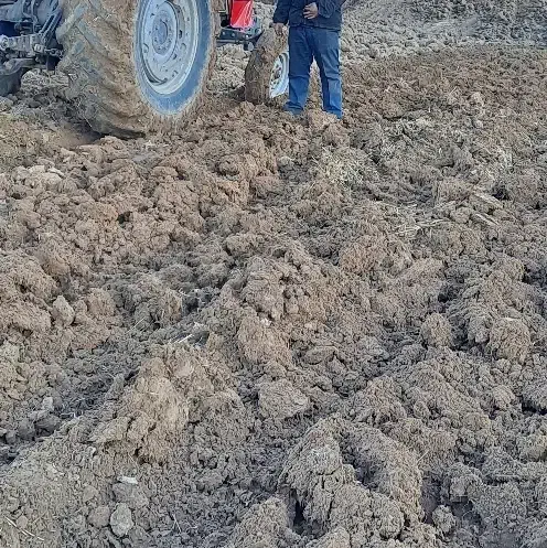 شخم و ردیف کار|خدمات باغبانی و درختکاری|کوهدشت, |دیوار