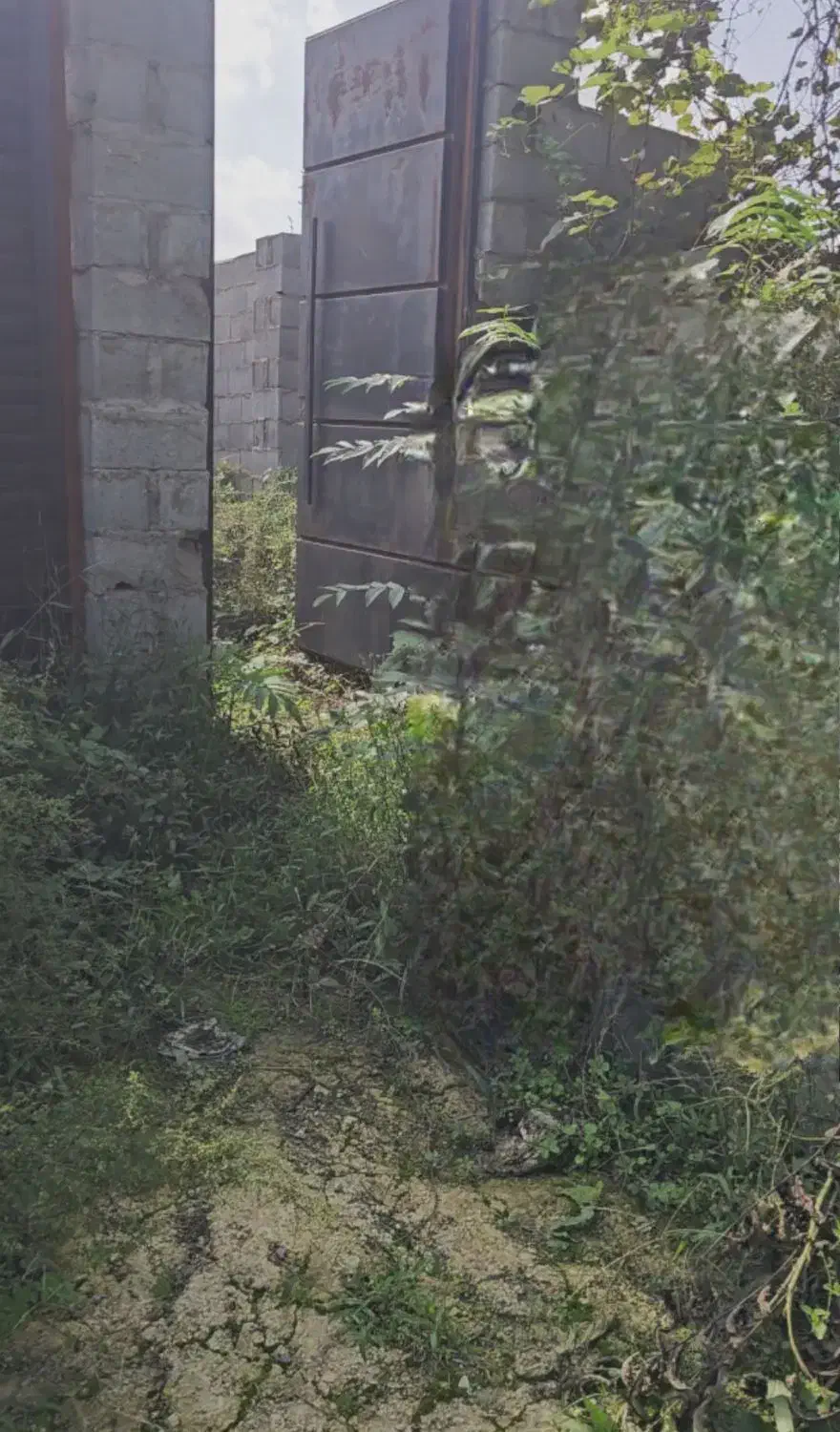 زمین مسکونی لاهیجان پروانه ساخت ویو ابدی|فروش زمین و ملک کلنگی|لاهیجان, بوجایه|دیوار