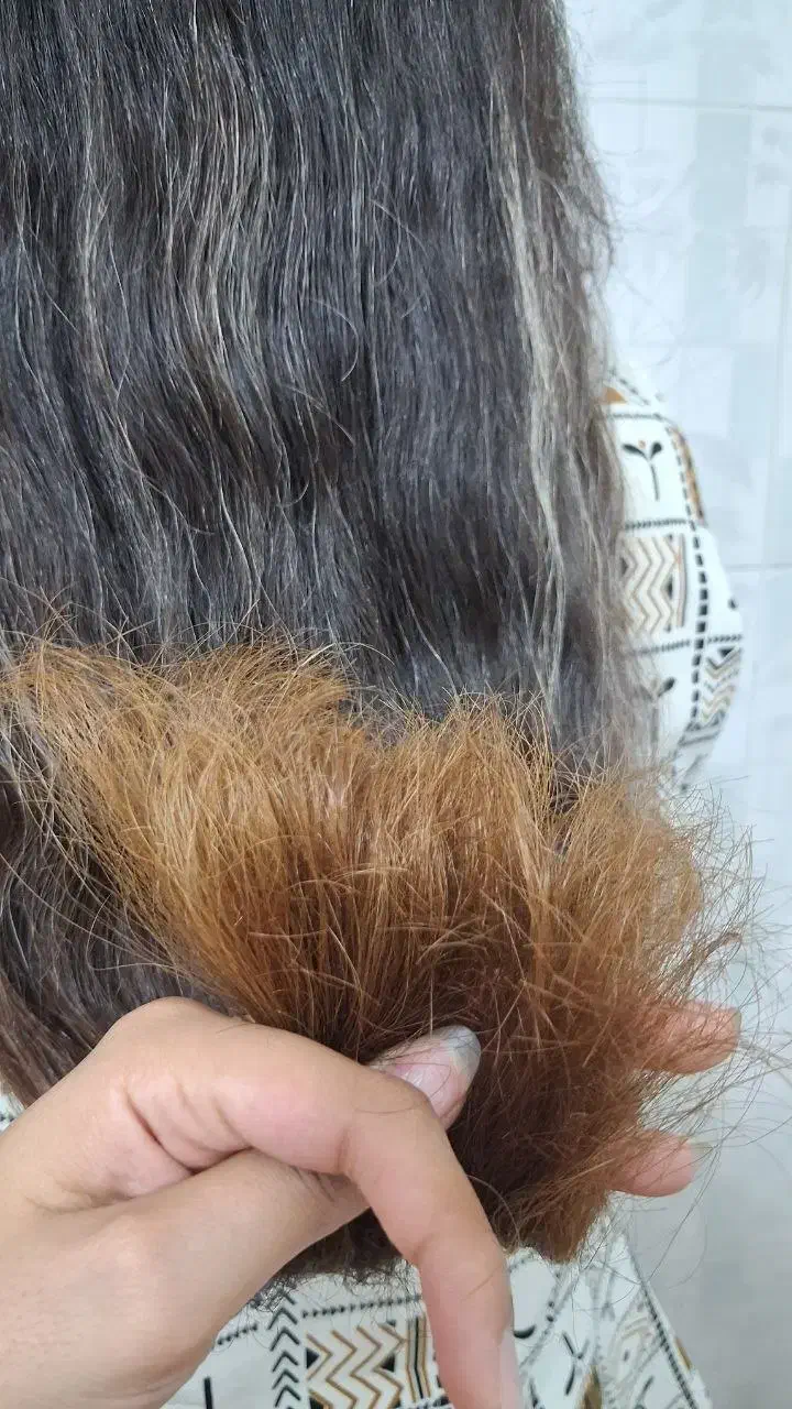 آموزش|خدمات آموزشی|بیرجند, |دیوار