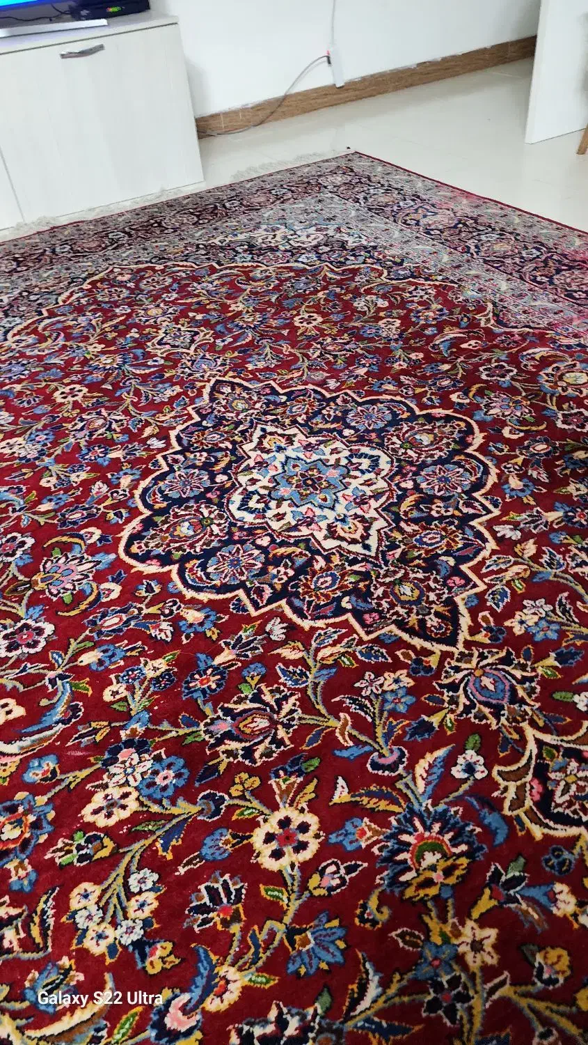 فرش دستباف|فرش|آمل, |دیوار