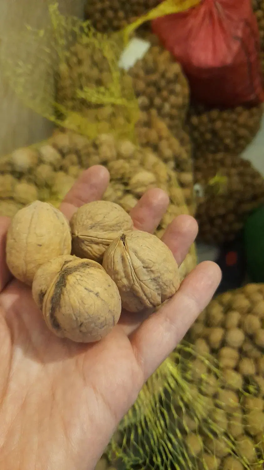 گردو|خوردنی و آشامیدنی|تهران, اتحاد|دیوار