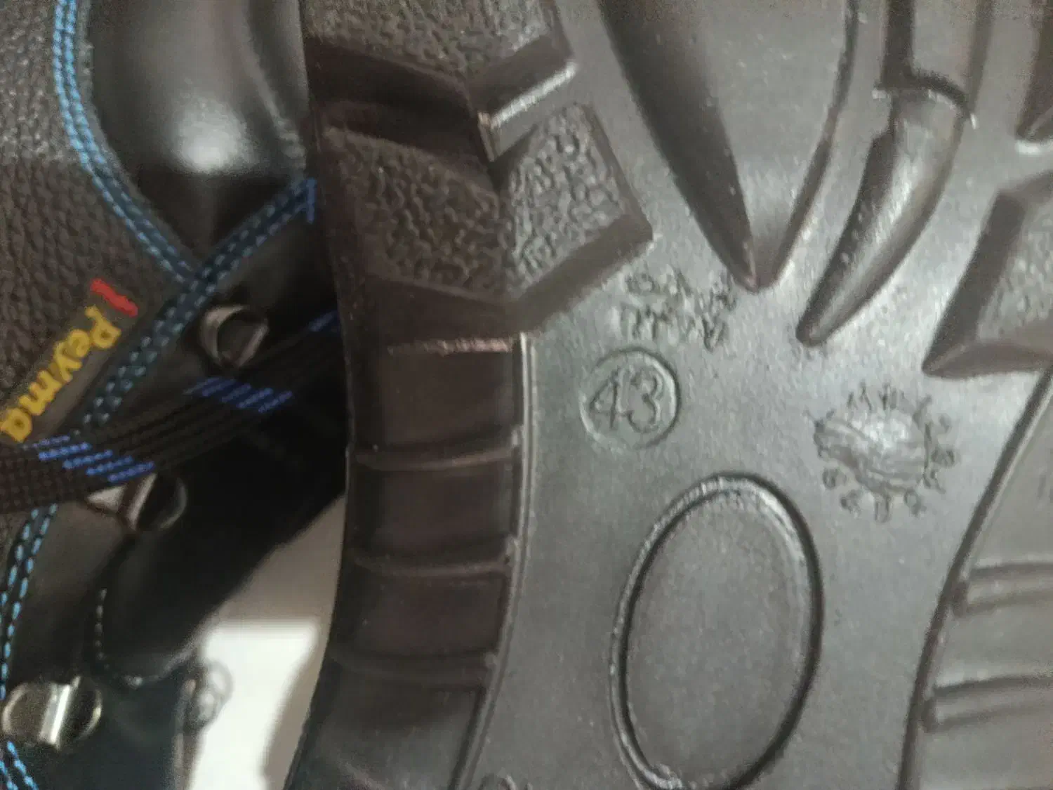 کفش کار نو|کیف، کفش، کمربند|زنجان, |دیوار