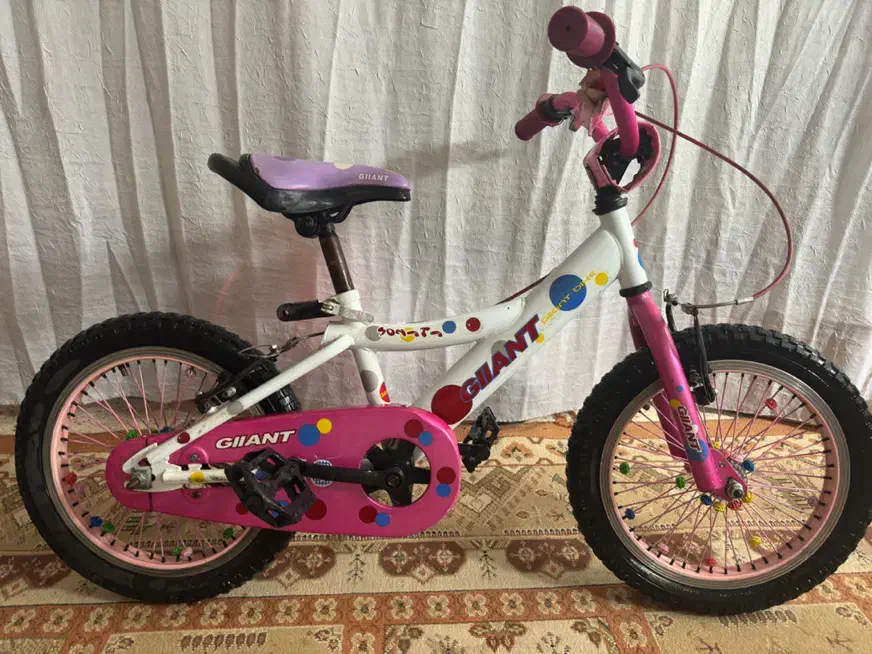 دوچرخه|دوچرخه، اسکیت، اسکوتر|ملایر, |دیوار