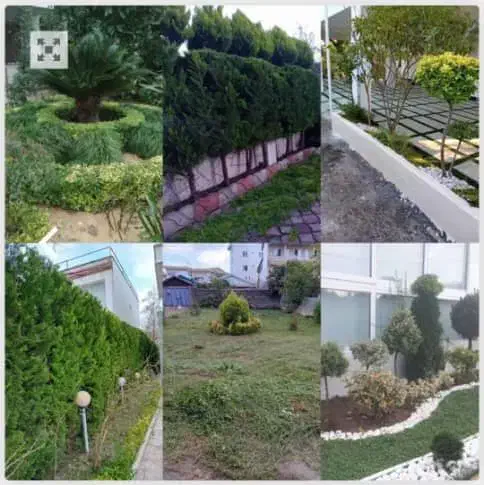علفتراشی  بریدن درخت وکلیه کارهای  باغبانی|خدمات باغبانی و درختکاری|نوشهر, |دیوار