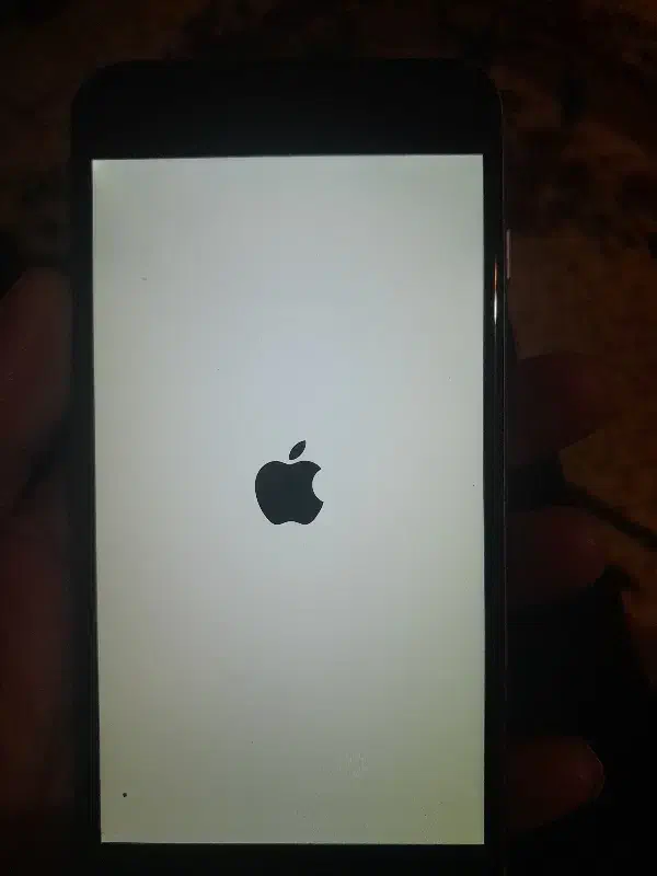 six  plus|موبایل|مشهد, سید رضی|دیوار