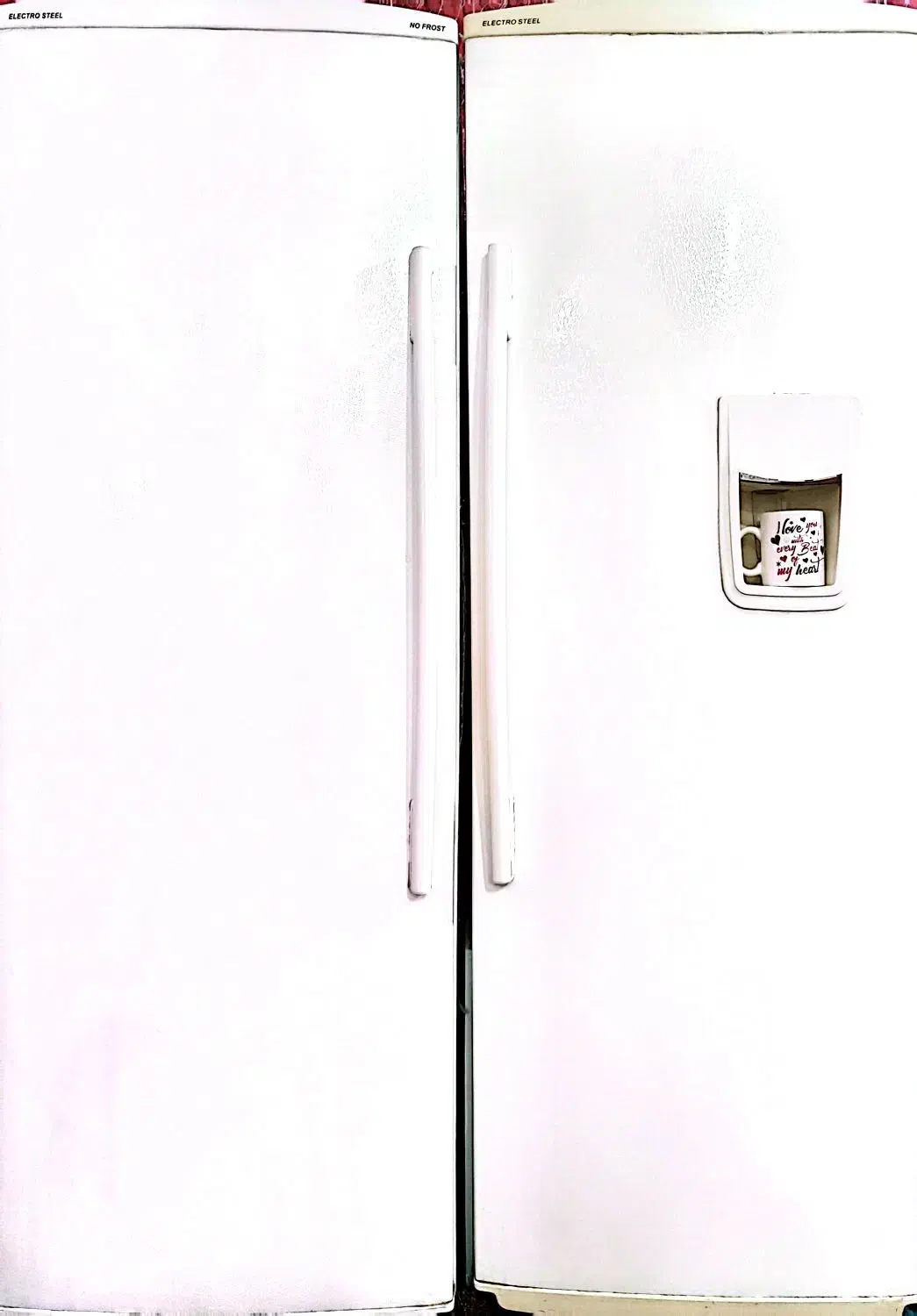 یخچال دو قلو الکترو استیل|یخچال و فریزر|تایباد, |دیوار