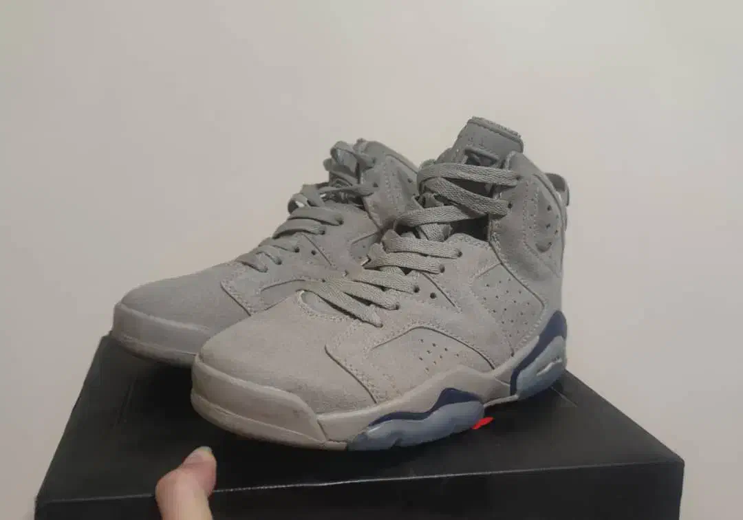 کفش در حد نو اسکچرز و ایر جردن|کیف، کفش، کمربند|مرودشت, فرهنگ|دیوار