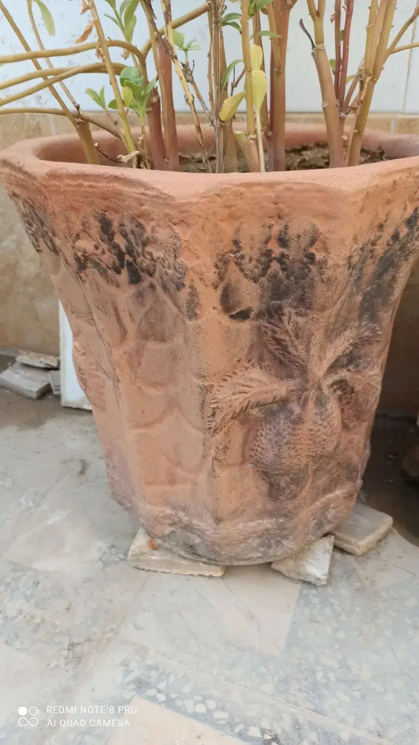 گلدان|گل و گیاه طبیعی|آبپخش, |دیوار