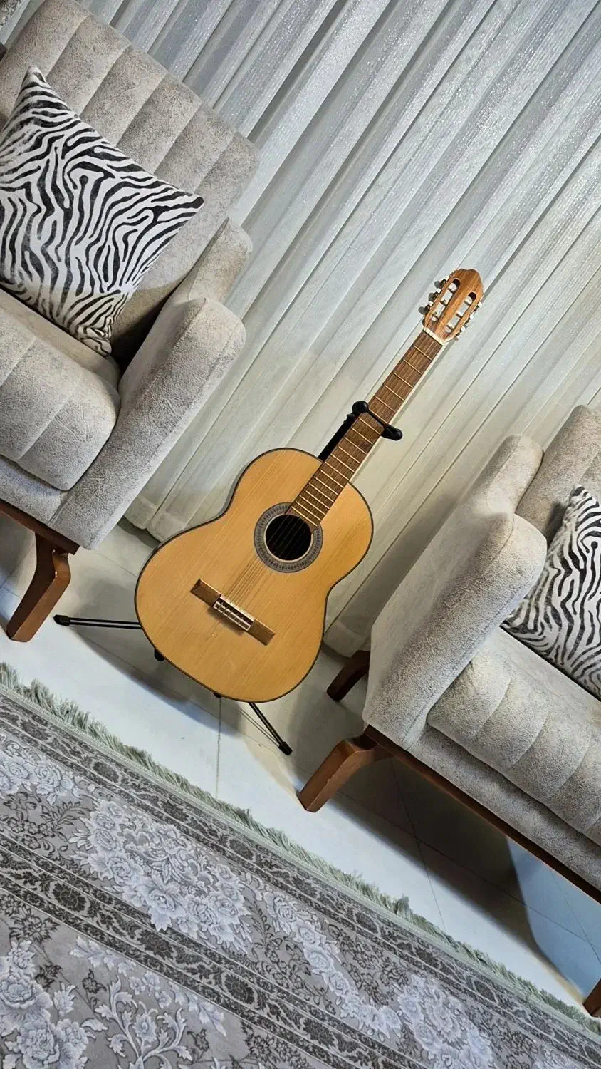 گیتار  Caroli آکبند|گیتار، بیس، امپلیفایر|اردبیل, |دیوار