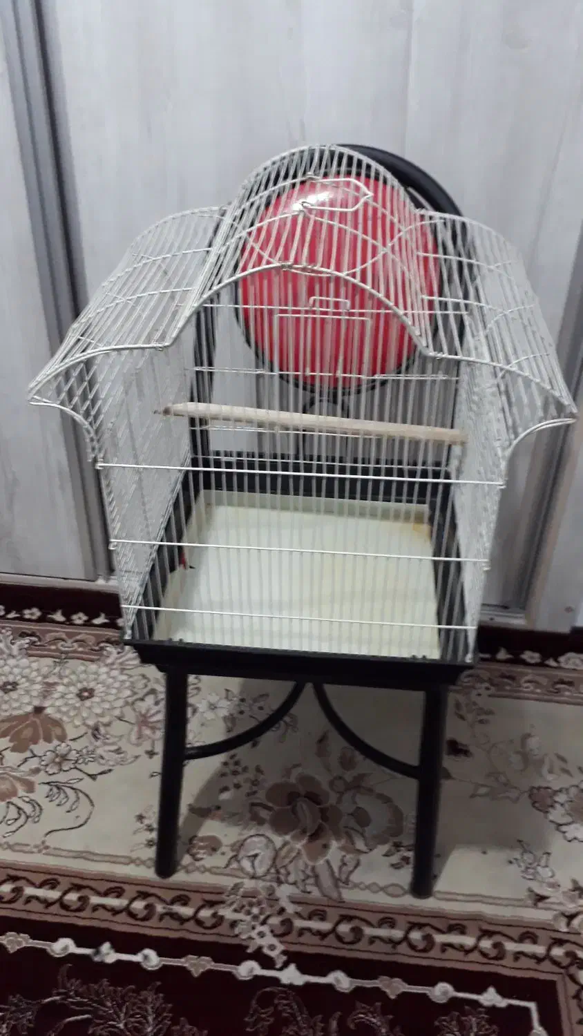 دو عدد قفس پرنده|لوازم جانبی حیوانات|سهند, |دیوار