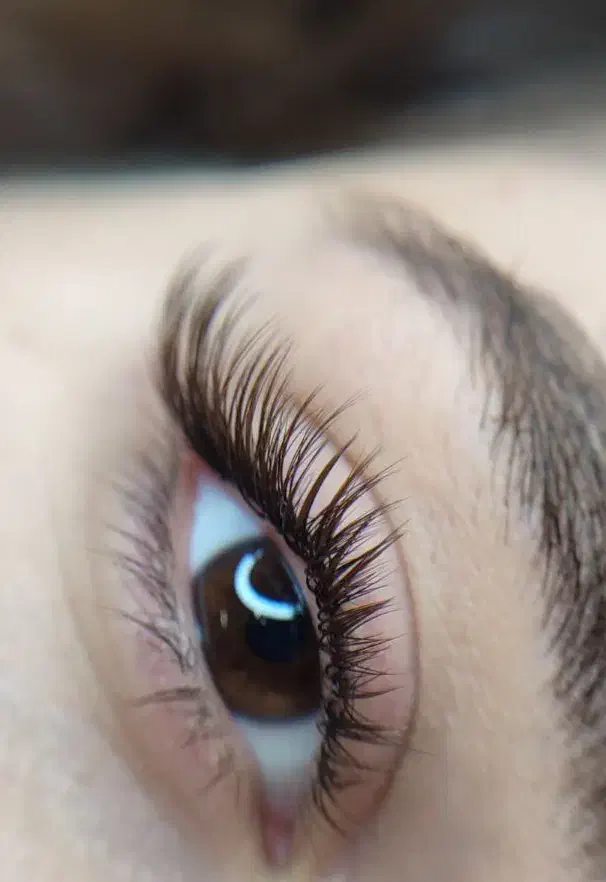 اکستنشن و کاشت مژه لیفت و لمینت مژه و ابرو|خدمات آرایشگری و زیبایی|بوشهر, |دیوار