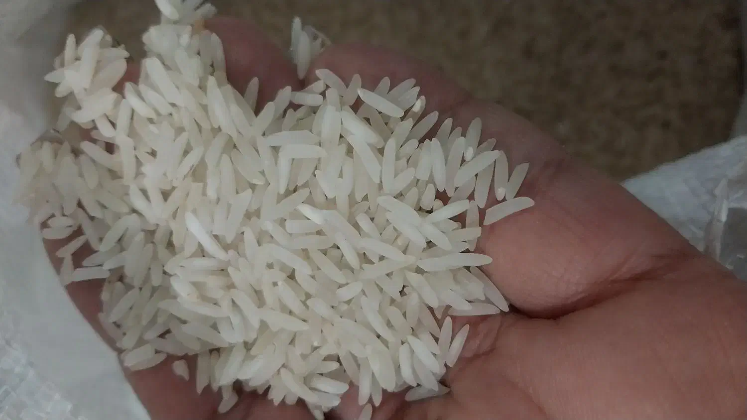 فجر سوزنی ۹۰ روزه امساله ۲۲۵ پارساله ۱۹۵|خوردنی و آشامیدنی|گرگان, |دیوار