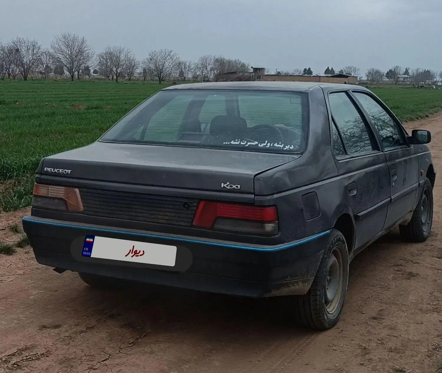 ماشین پژو روآ|خودرو سواری و وانت|قزوین, |دیوار