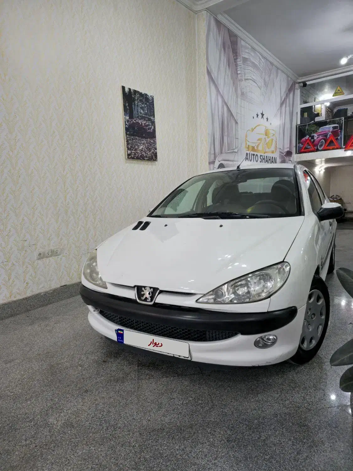 206 sd tu5|خودرو سواری و وانت|بناب, |دیوار