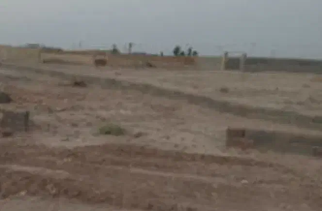 فروش 10 هزار متر زمین در قاسم آباد کاشان|فروش زمین و ملک کلنگی|بادرود, |دیوار