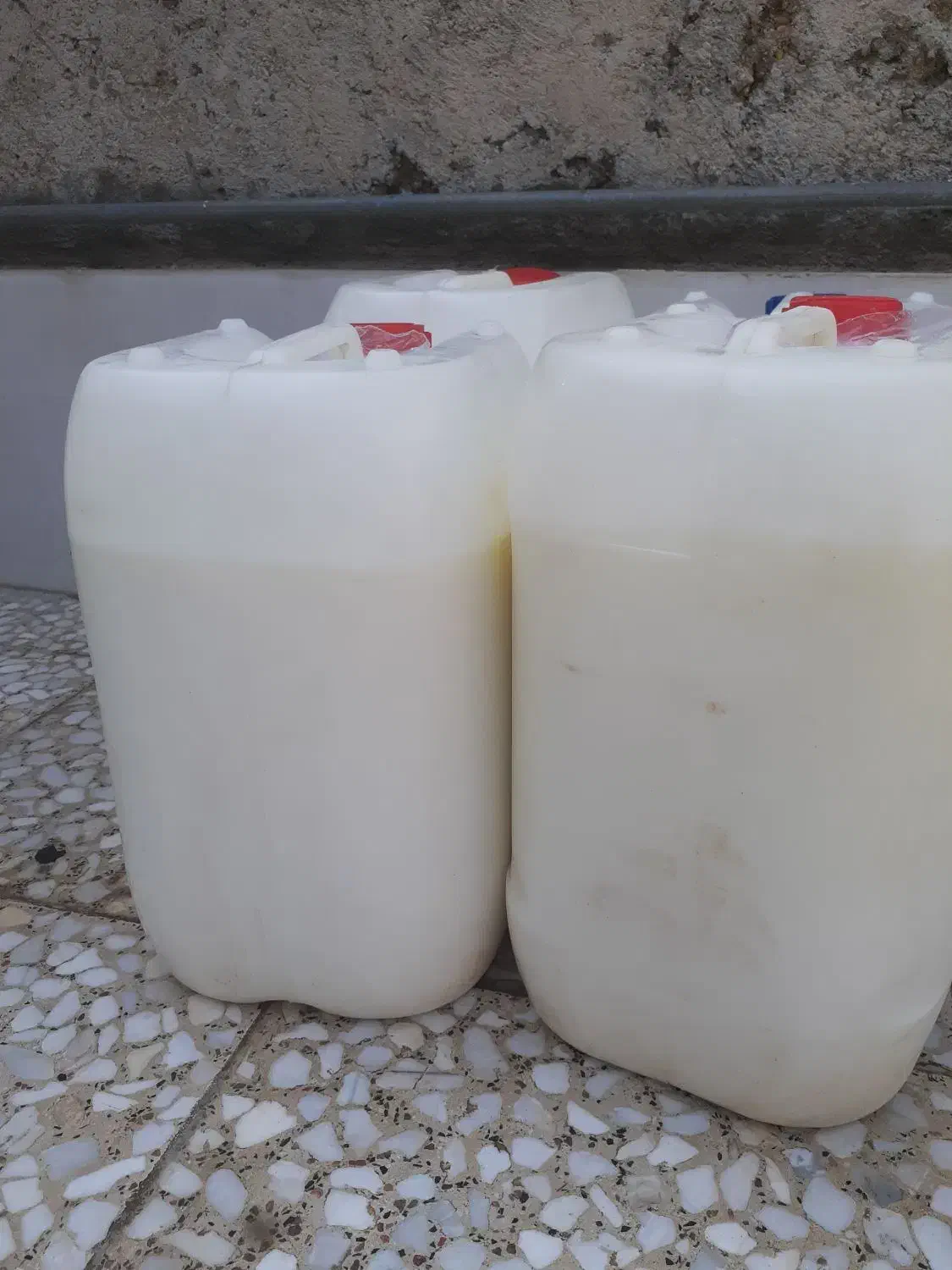 دوغ بز|خوردنی و آشامیدنی|مسجد سلیمان, |دیوار