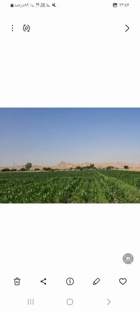 فروش ۱ هکتار|فروش دفتر صنعتی، کشاورزی، تجاری|دوگنبدان, |دیوار