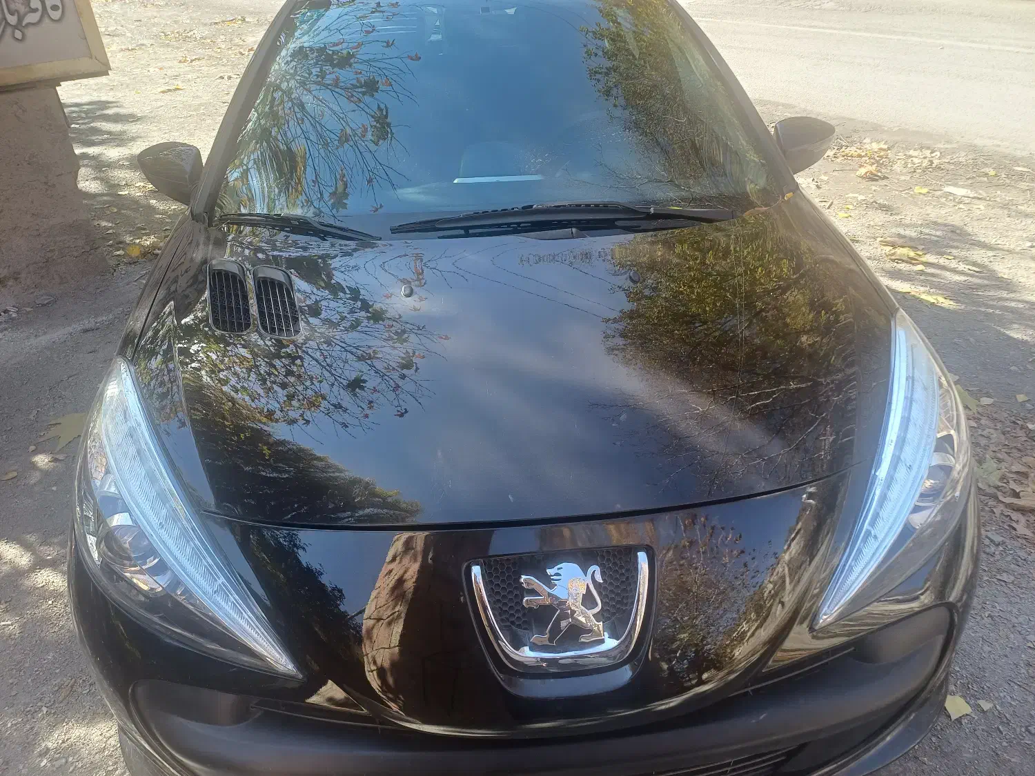 پژو۲۰۷مشگی متالیک|خودرو سواری و وانت|ملکآباد, |دیوار