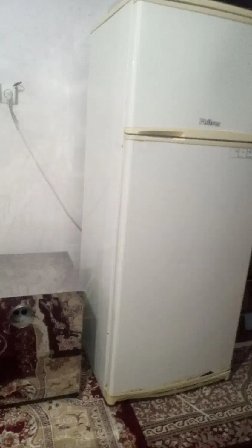 یخچال فیلور|یخچال و فریزر|گالیکش, |دیوار