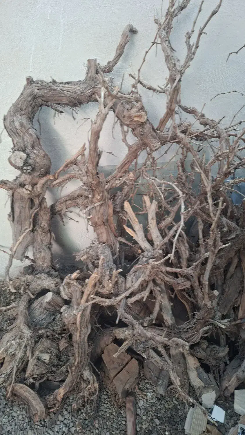 چوب انگور|صنایع دستی و سایر لوازم تزئینی|قنوات, |دیوار