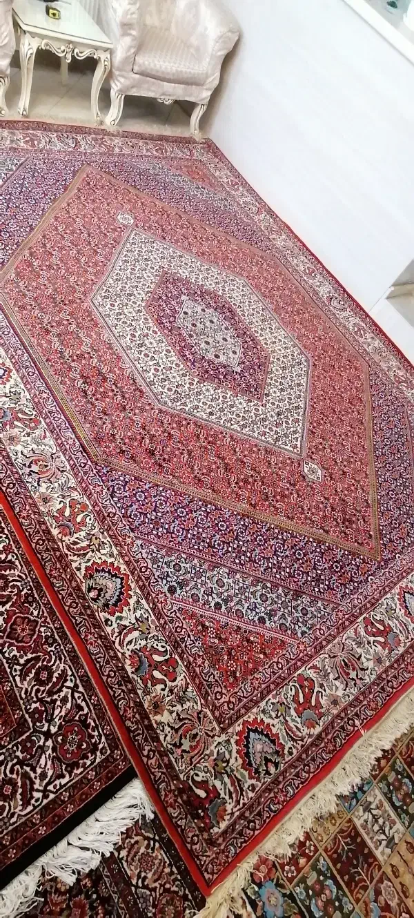 فرش دستبافت افشار|فرش|تهران, بوستان ولایت|دیوار