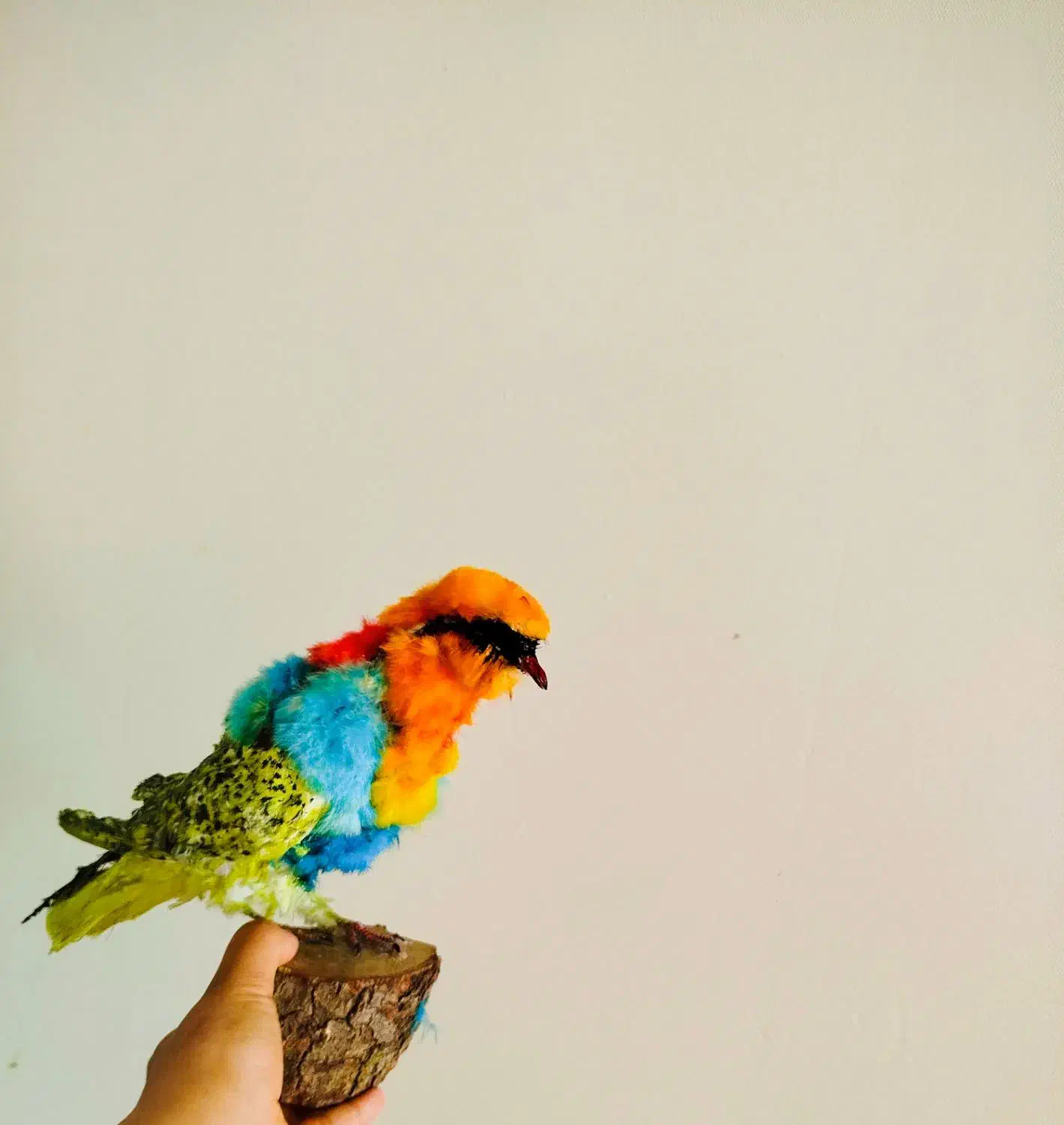 مجسمه|مجسمه، تندیس، ماکت|ایلام, |دیوار