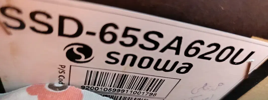 تلویزیون ۶۵ اسنوا نو|تلویزیون و پروژکتور|بیرجند, |دیوار