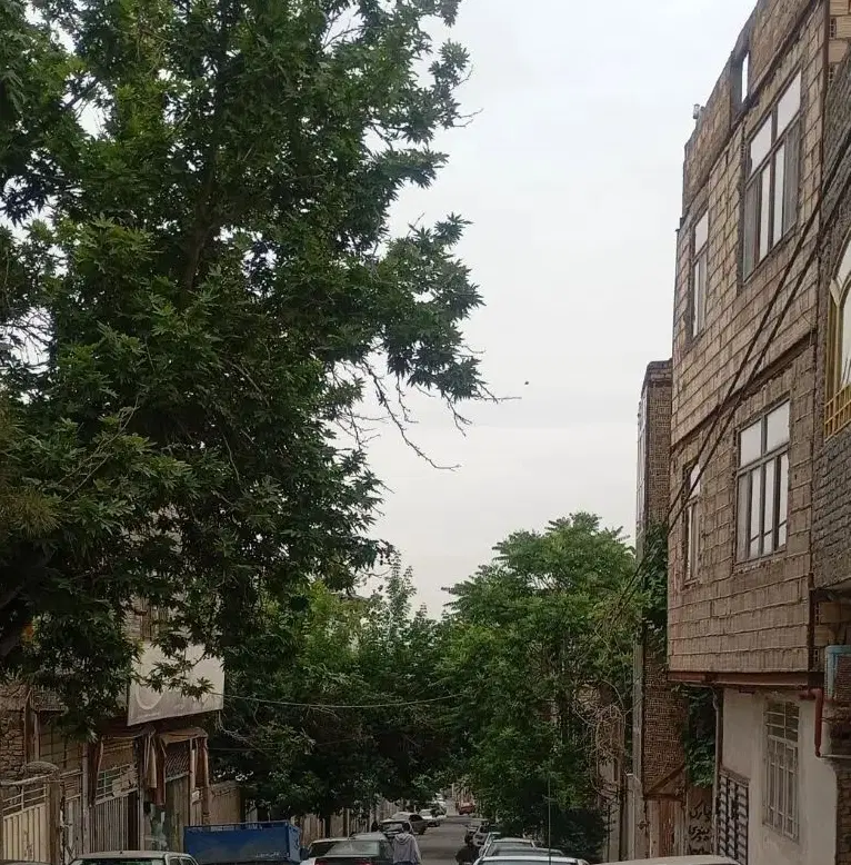 تصویر 7