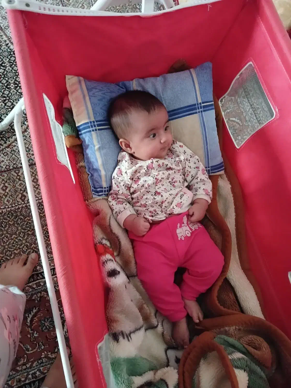 گهواره نوزاد|تخت و صندلی بچه|مشکین‌دشت, |دیوار