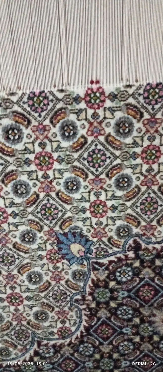 قالین ۱۲ متری دستبافت|فرش|بیرجند, |دیوار