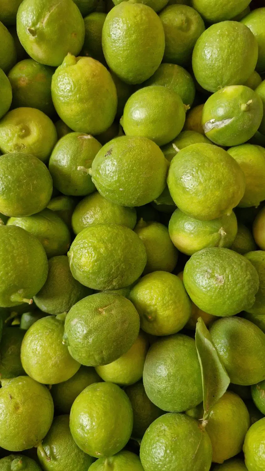 لیمو|خوردنی و آشامیدنی|شیراز, شیمی گیاه|دیوار