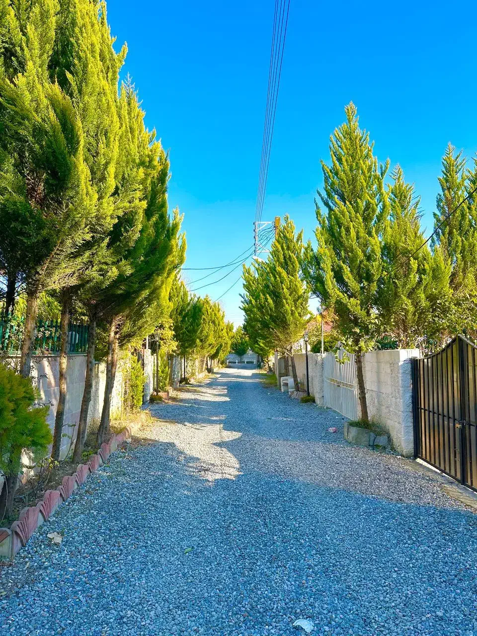 ویلا باغ *550 متری* با انواع درختان مرکبات|فروش خانه و ویلا|نور, |دیوار