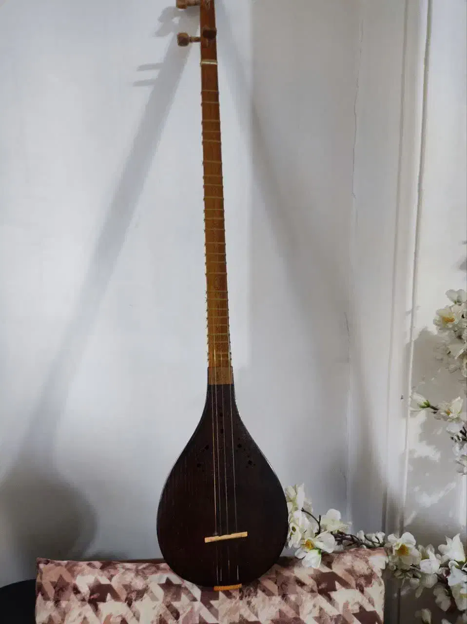 سه تار مفاخری|سازهای سنتی|رشت, توشیبا|دیوار