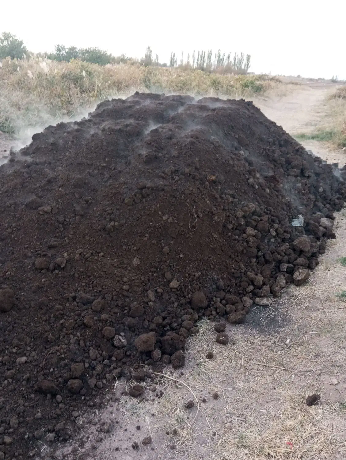 کود حیوانی|خدمات باغبانی و درختکاری|رشت, لاکان|دیوار