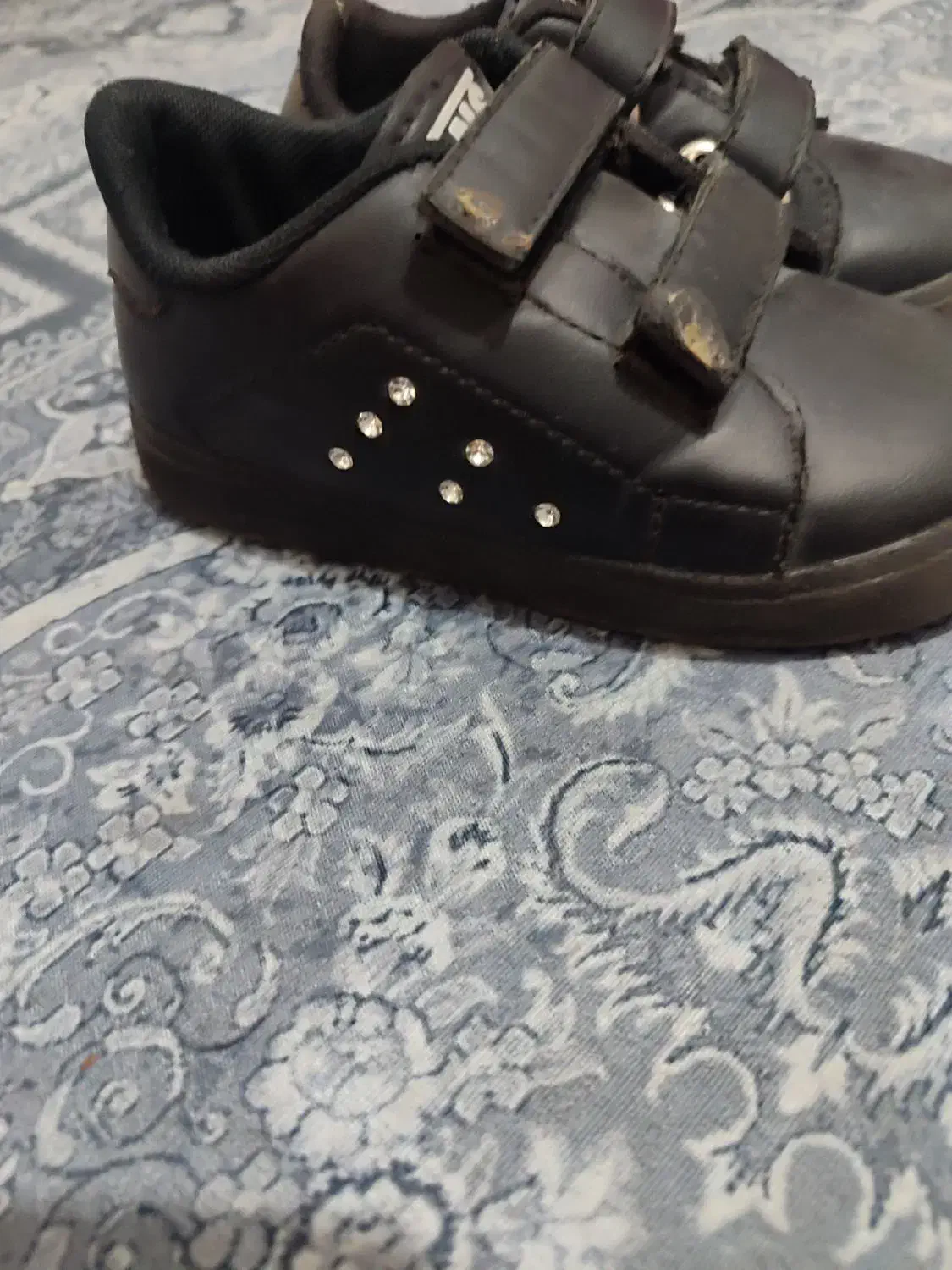 کفش|کیف، کفش، کمربند|ارومیه, |دیوار