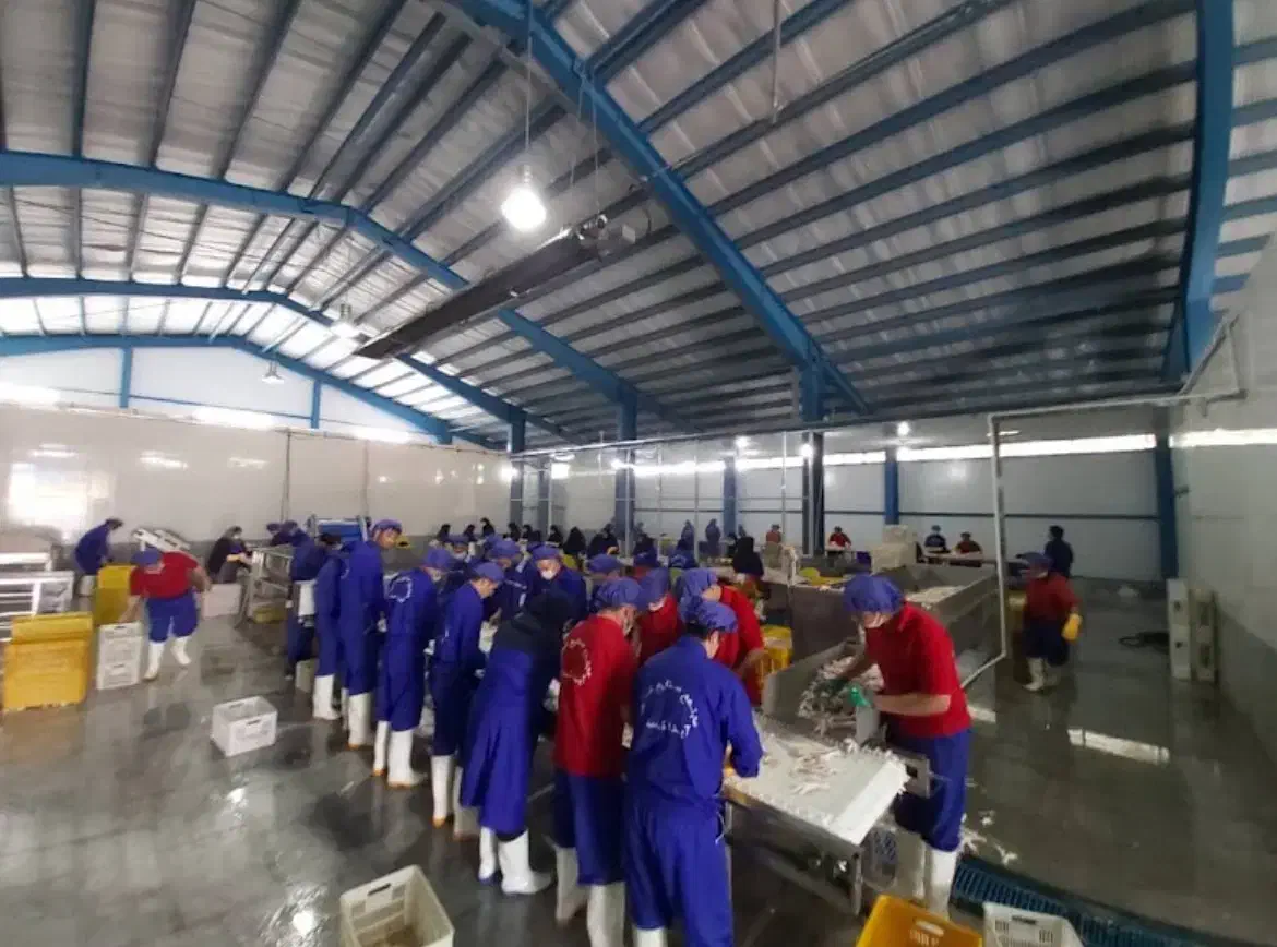 دعوت به همکاری آیدا گستر ایرانیان|استخدام صنعتی، فنی، مهندسی|اردبیل, |دیوار