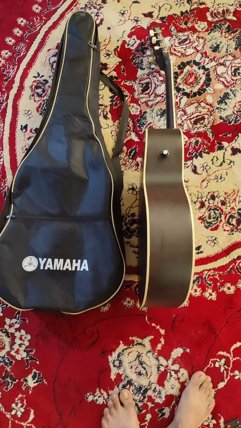 گیتار حرفه تی|گیتار، بیس، امپلیفایر|مشهد, پورسینا|دیوار